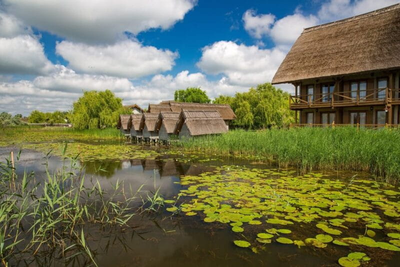 From Bucharest: Day Trip to Danube Delta - Exploring the Danube Delta: Setting the Scene