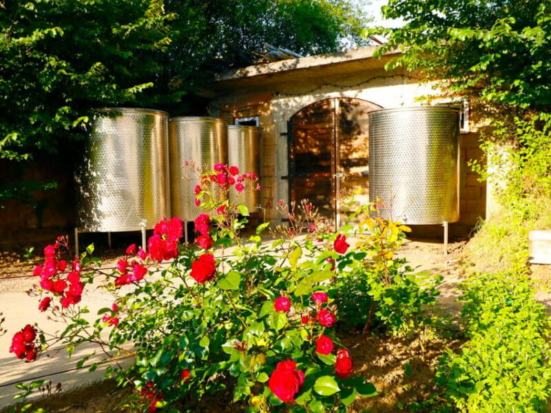 From Bucharest: Exclusive Dealu Mare Wine Tasting Tour - Price and Overall Value