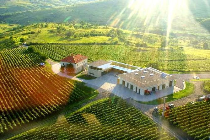 From Bucharest: Exclusive Wine Tasting Tour in Dealu Mare - Entering Romania’s Premier Wine Region
