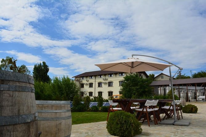 From Bucharest: Exclusive Wine Tasting Tour in Dealu Mare - Logistics and Practical Details