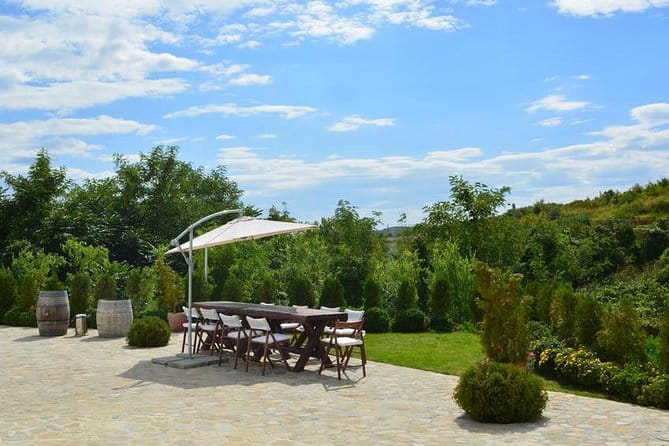 From Bucharest: Exclusive Wine Tasting Tour in Dealu Mare - Final Thoughts