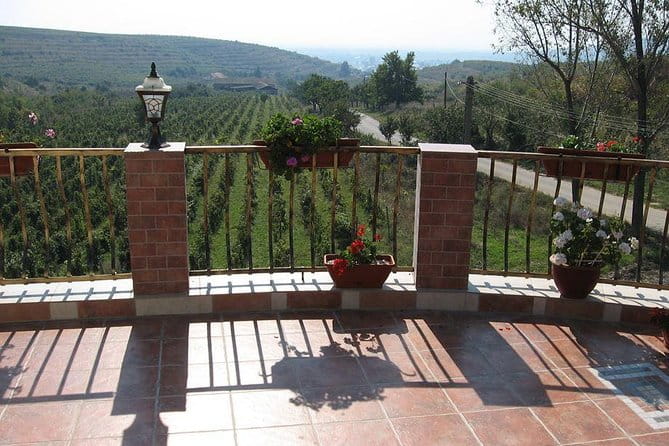 From Bucharest: Exclusive Wine Tasting Tour in Dealu Mare - FAQ