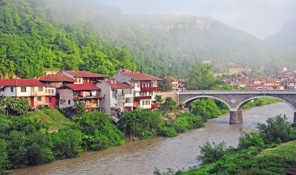 From Bucharest: Full-Day Trip to Bulgaria - Customer Feedback and Ratings