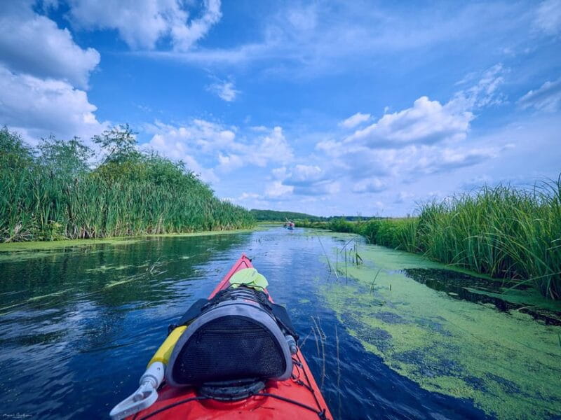 From Bucharest: Neajlov River Kayaking Adventure - Key points / Takeaways