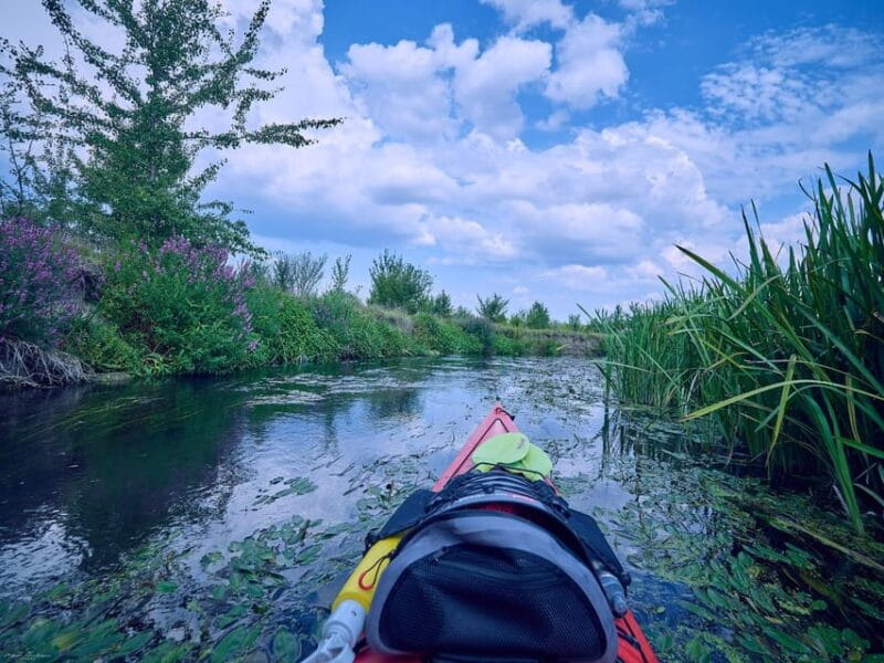 From Bucharest: Neajlov River Kayaking Adventure - Discovering the Neajlov River Kayaking Adventure