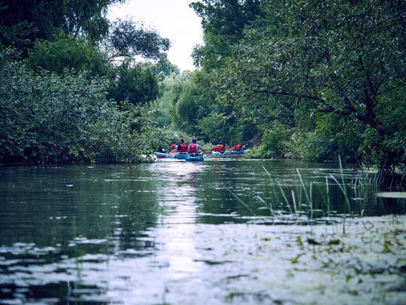 From Bucharest: Neajlov River Kayaking Adventure - The Sum Up: Who Will Love This Trip?