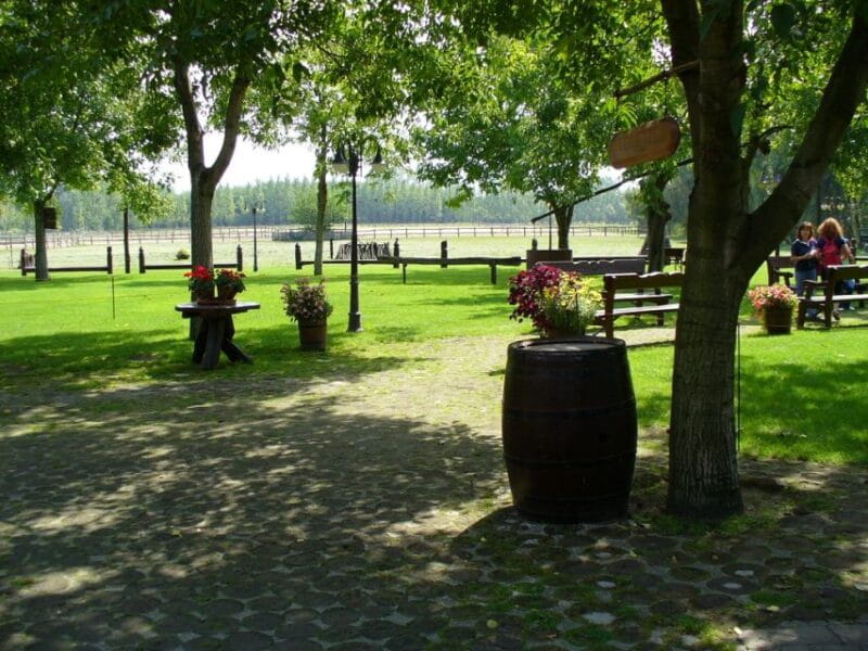 From Budapest: Full-Day Puszta Tour with Lunch and Show - Price and logistics: Is it worth it?