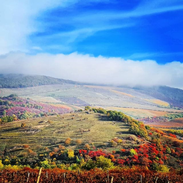 From Budapest: Guided Tour of Eger with Wine Tasting - Final Thoughts: Is This the Right Day Trip for You?