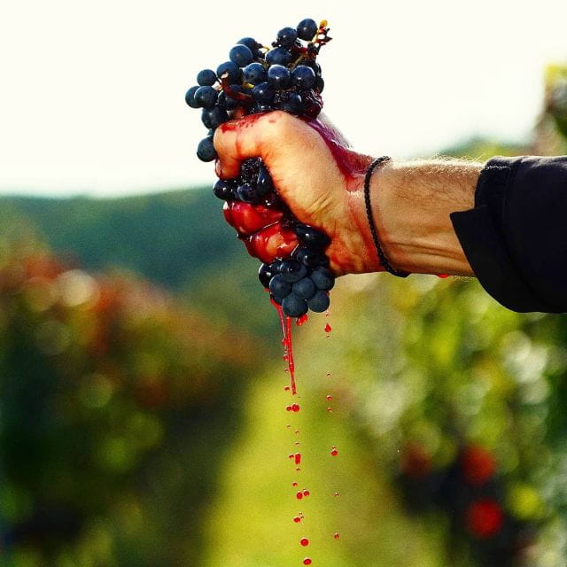 From Budapest: Guided Tour of Eger with Wine Tasting - Frequently Asked Questions