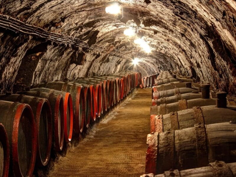 From Budapest: Tokaj Wine Tour with Tasting and Lunch - Why This Tour Stands Out