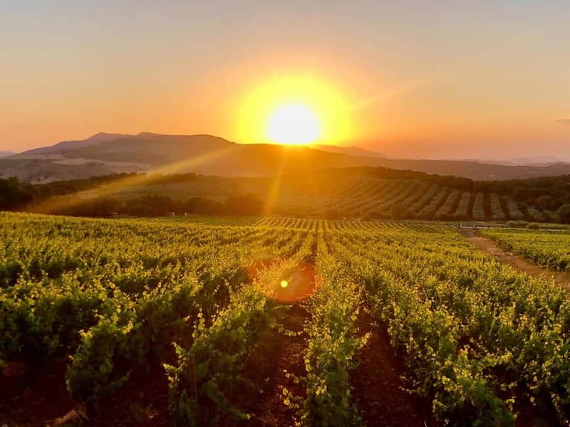 From Cádiz: Ronda Premium Private Day Tour with Wine Tasting - Scenic Drive and Arrival: Setting the Scene for Ronda