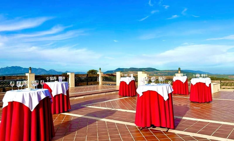 From Cádiz: Ronda Premium Private Day Tour with Wine Tasting - Who Is This Tour Best For?