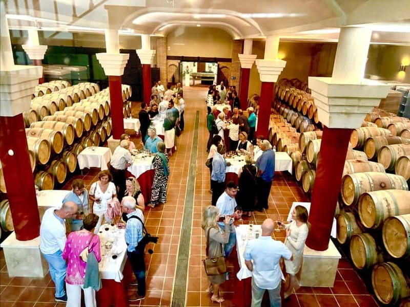 From Cádiz: Ronda Premium Private Day Tour with Wine Tasting - Price and Logistics: Worth the Investment