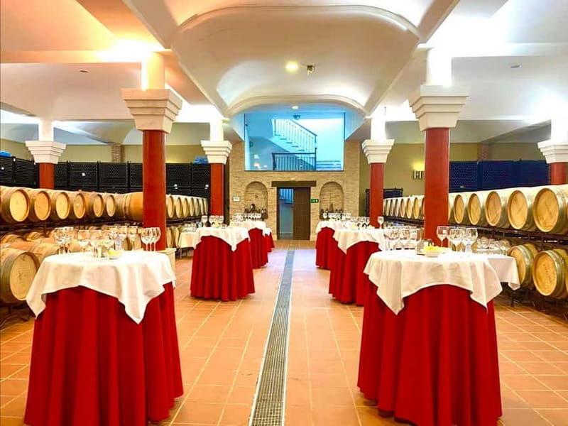 From Cádiz: Ronda Premium Private Day Tour with Wine Tasting - Summary: Is It Worth It?