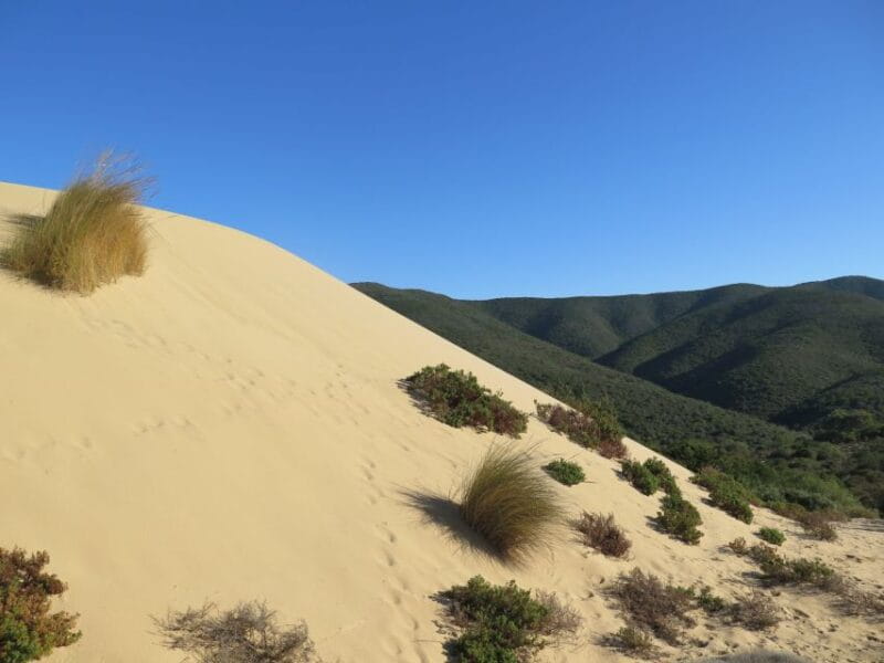 From Cagliari: Piscinas Old Mines and Montevecchio Tour - A Closer Look at the Itinerary and What You’ll Experience