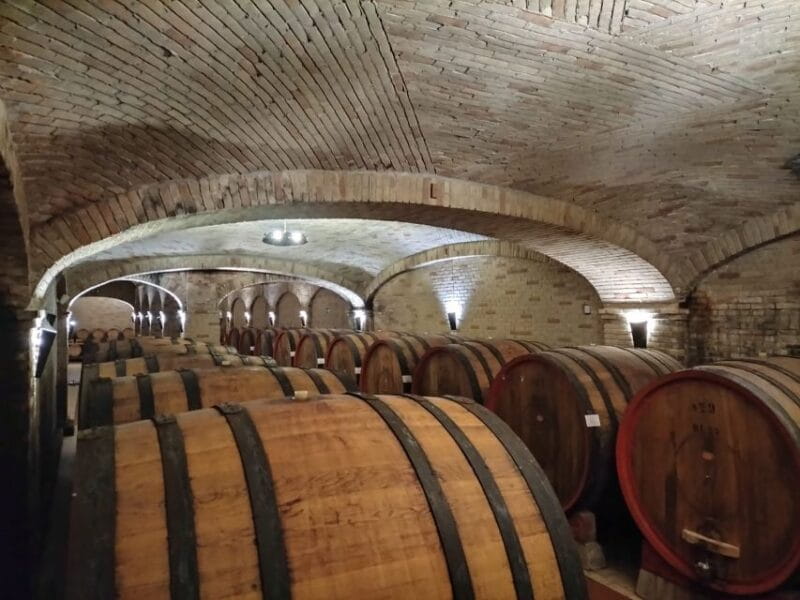 From Cagliari: Wine Cellar Tour with Tastings - Key Points / Takeaways
