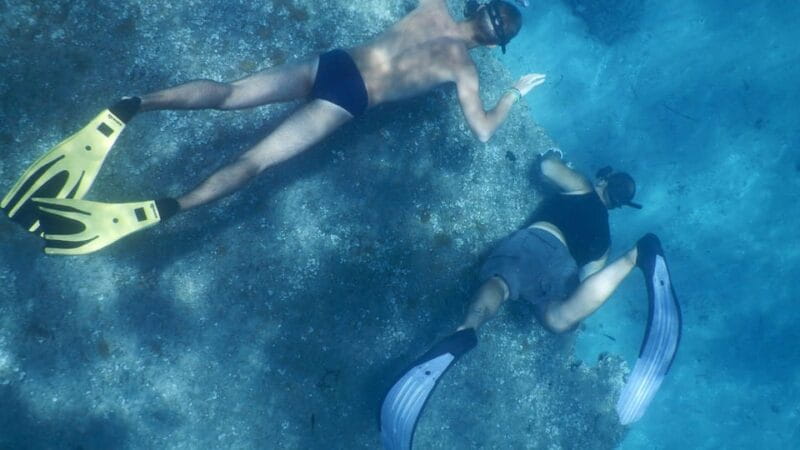 From Cala Gonone: snorkeling in the Orosei Gulf - Discovering the Seabed of the Gulf of Orosei