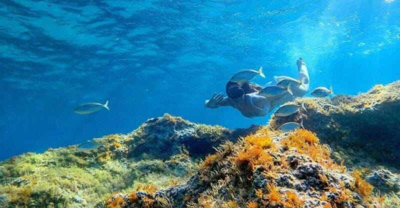 From Cala Gonone: snorkeling in the Orosei Gulf - FAQs