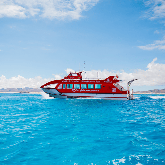 From Caleta De Fuste: Return Bus and Ferry to Lobos Island - Transportation Details