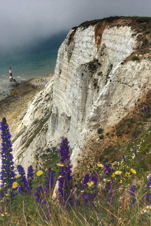 From Cambridge: Guided day trip to Brighton & Beachy Head - The Coastal Marvels of Beachy Head and Seven Sisters