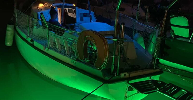 From Cannes: Half-day sailboat trip to the Lerins Islands - Who Will Love This Trip?