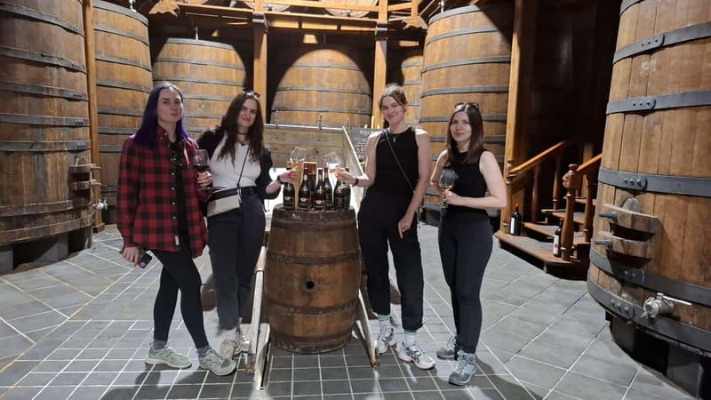 From Catania: Etna Trekking & Wine Tasting Tour with Pickup - Entering Sicily’s Volcanic Realm