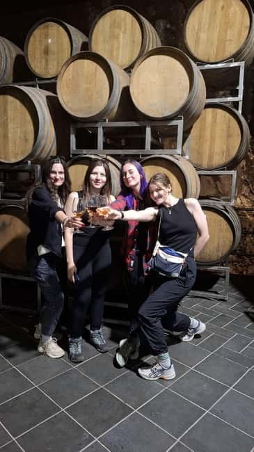 From Catania: Etna Trekking & Wine Tasting Tour with Pickup - Logistics and Practicalities