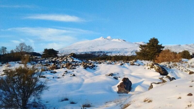 From Catania: Guided Tour of Mount Etna and Taormina - Price, Logistics, and Value