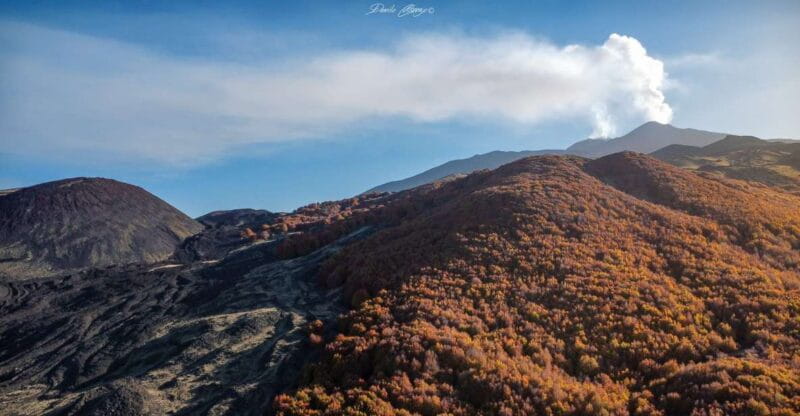 From Catania: Mt. Etna, Wine and Alcantara Tour - An In-Depth Look at the Mt. Etna, Alcantara & Wine Experience