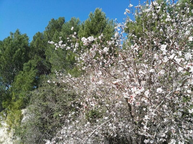 From Catania: Pantalica & Sortino Guided Tour - Who Should Consider This Tour?