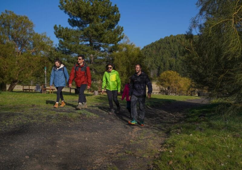 From Catania: Private Mount Etna Trek - Who Will Love This Tour?