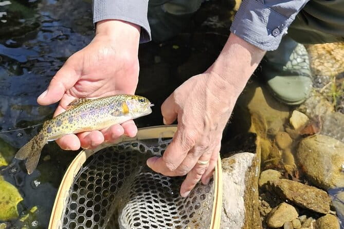 From Catania, Syracuse and Taormina: fly fishing experience - Exploring the Wild Side of Sicily: Fly-Fishing in the Apennine Mountains