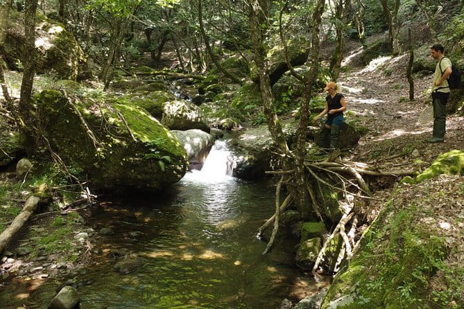 From Catania, Syracuse and Taormina: fly fishing experience - Who Is This Tour Perfect For?