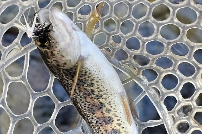 From Catania, Syracuse and Taormina: fly fishing experience - Final Thoughts: Is It Right for You?