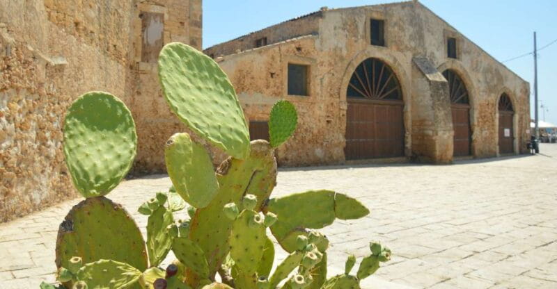 From Catania: Syracuse, Ortigia & Marzamemi Full-day Tour - Key points / Takeaways