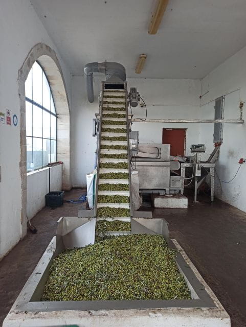 From Chania: Falassarna Beach, Wine & Olive Oil Private Tour - Preparation and Recommendations