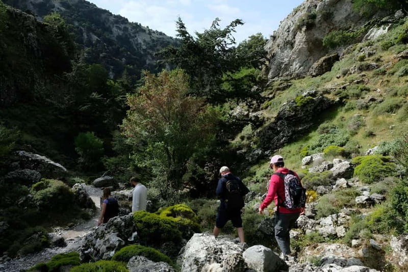 From Chania: Imbros Gorge Hike&Authentic Culinary Experience - Logistics and Practical Considerations