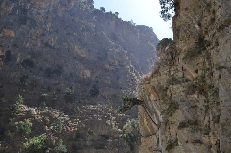 From Chania/Kalyves: Full-Day Samaria Gorge Hiking Day Trip - Introduction: A Crete Adventure Worth the Effort