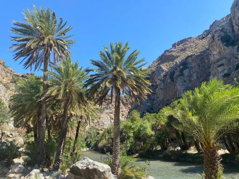 From Chania: Preveli Palm Beach and Kourtaliotis Waterfalls - The Cultural and Scenic Charm of Kourtaliotis Gorge