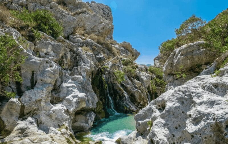 From Chania & Rethymno: Kourtaliotiko, Preveli & Damnoni - Preveli Palm Beach: A Tropical Dream in Crete