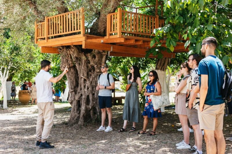 From Chania: Wine and Olive Oil Tasting Tour with Snacks - An In-Depth Look at the Tour