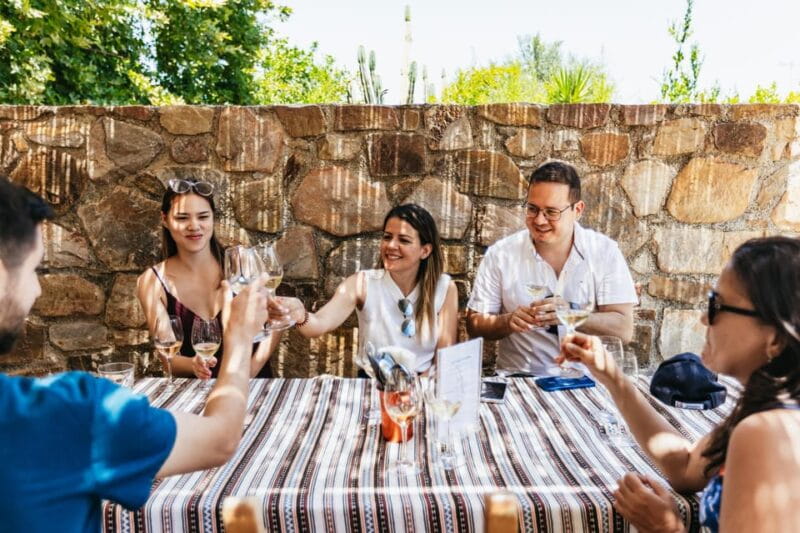 From Chania: Wine and Olive Oil Tasting Tour with Snacks - Who Will Love This Tour?