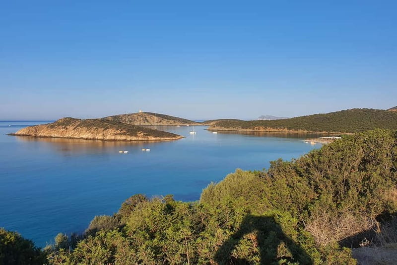 From Chia: Boat Ride to Cala Zafferano with Snorkeling - Exploring Sardinia’s Coast from Chia to Cala Zafferano: A Clear, Snorkel-Filled Adventure