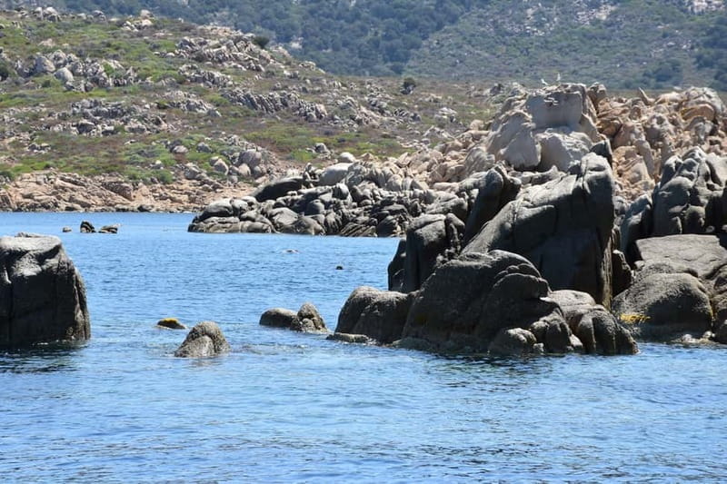 From Chia: Boat Ride to Cala Zafferano with Snorkeling - Price and Logistics: Good Value for a Scenic Sea Trip