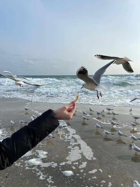 From Chiinu to Odesa: A Tasty Day Trip! - Starting the Adventure: From Chiinu to the Black Sea