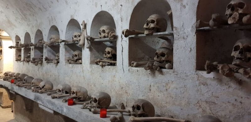 From Civitavecchia: Guided Tour of the Catacombs of St. Seba - Price and Value: Is It Worth It?