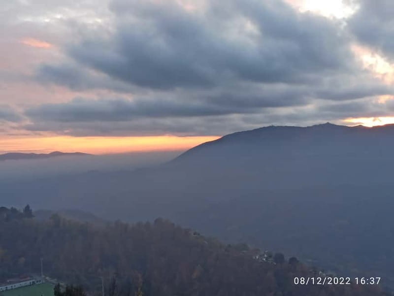 From Civitavecchia: Private Cruise Shore Excursion to Rome - Who Will Love This Tour?