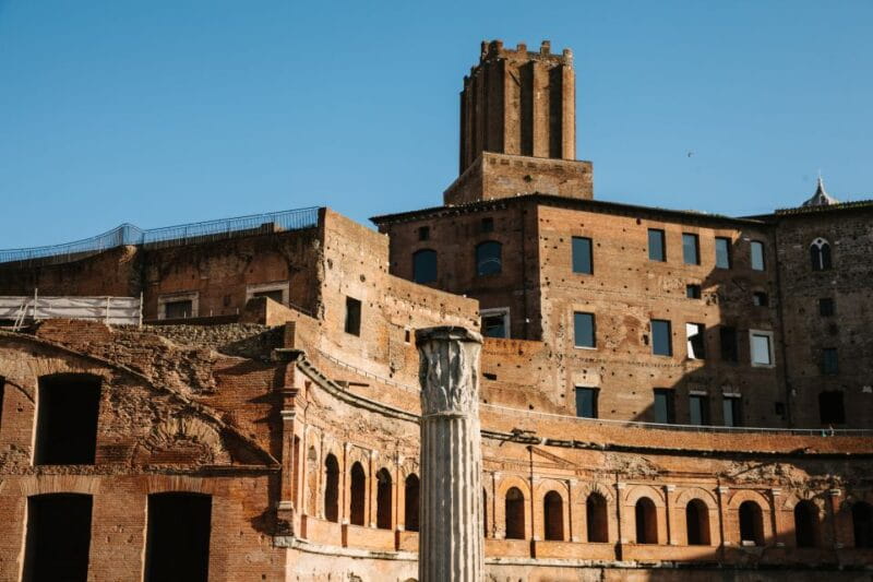 From Civitavecchia: Roman Forum and Colosseum Full-Day Tour - Who Will Love This Tour?