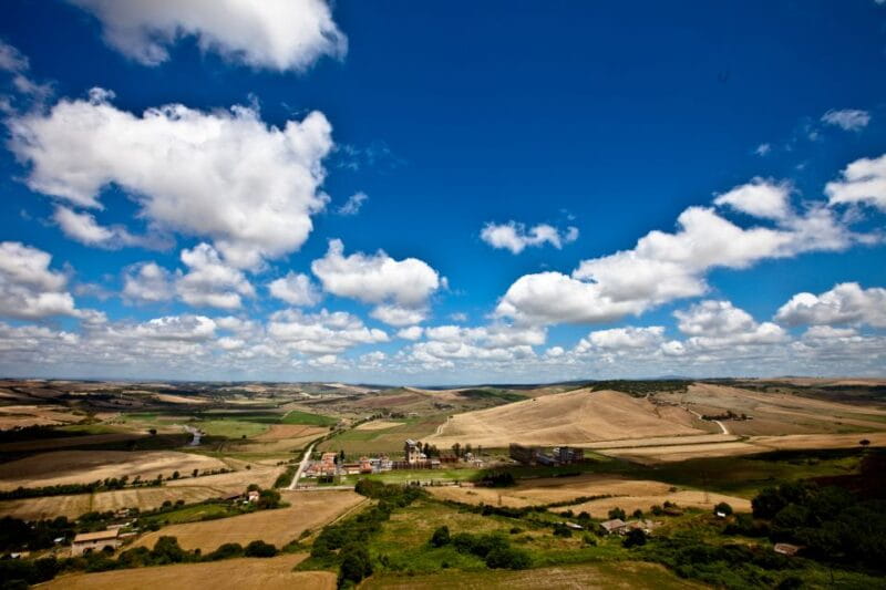 From Civitavecchia: Tarquinia & Unesco Site Visit with Lunch - Tarquinia’s Museum and Its Artifacts