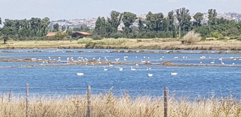 From Civitavecchia: Tarquinia & Unesco Site Visit with Lunch - Optional Underground City and Quarry Exploration
